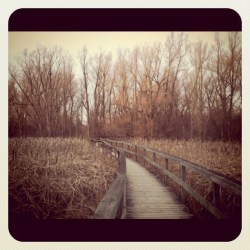 Instagram is the best