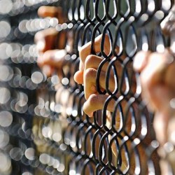 Example of bokeh photography