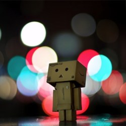 Example of Bokeh photography