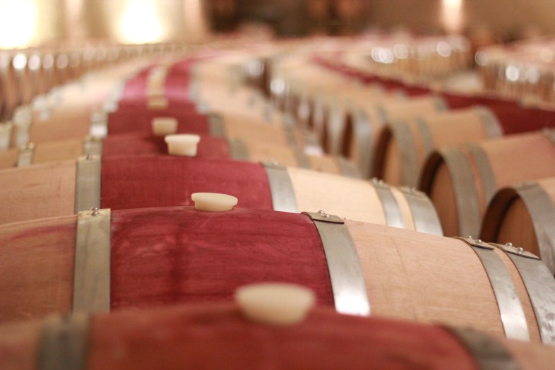 Shallow Depth of Field Photography Technique: Depth of Field